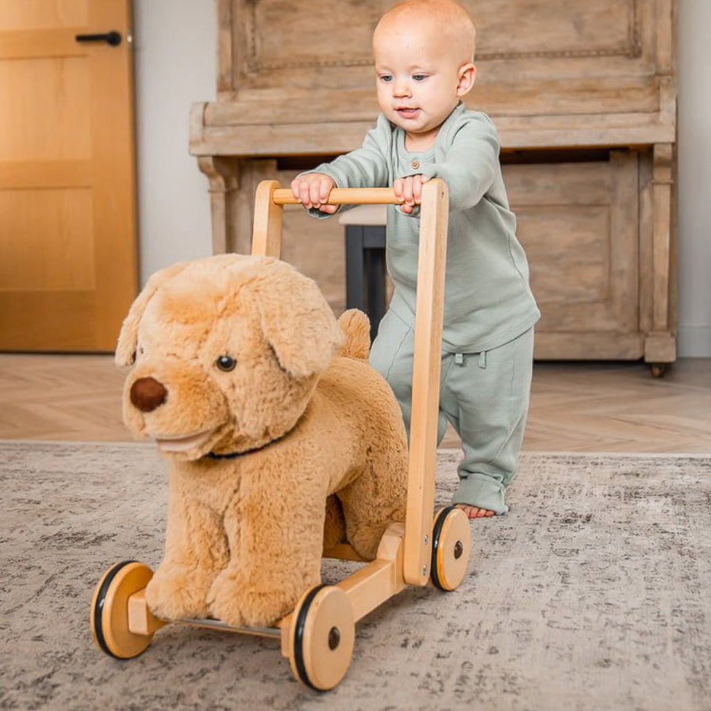 Dexter Dog Baby Walker Animal Toys Babyblooms