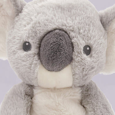 KeelEco Koala Close Up