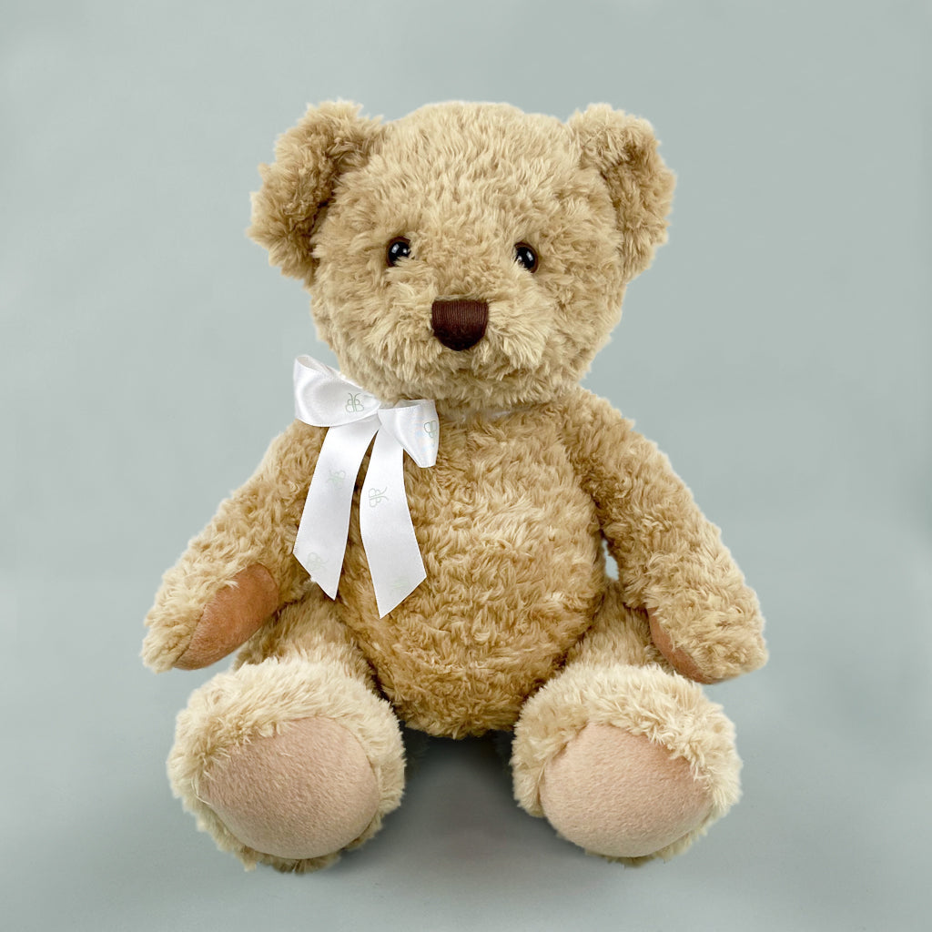 Seated Teddy Bear Cuddly Toys New Baby and Sibling Gifts