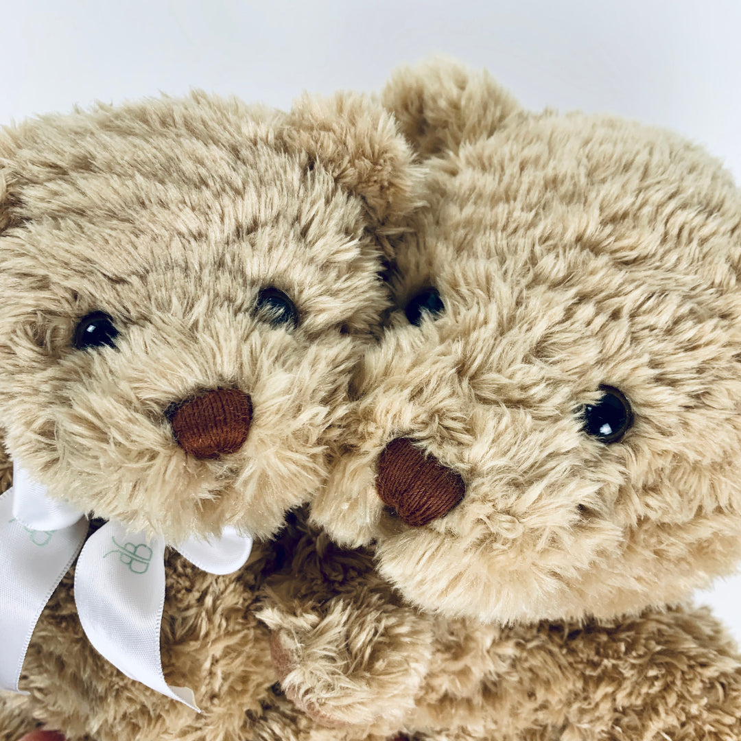 Two cuddling teddy bears