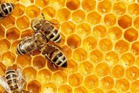 Beeswax skincare benefits