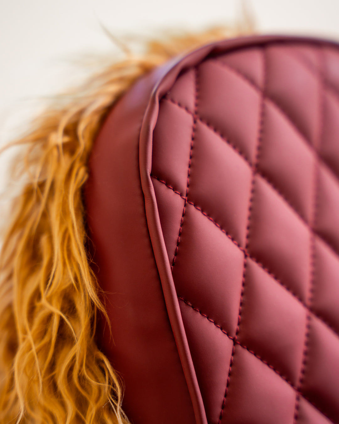 Little Bird Told Me Hubert Rocking Highland Cow, Close Up