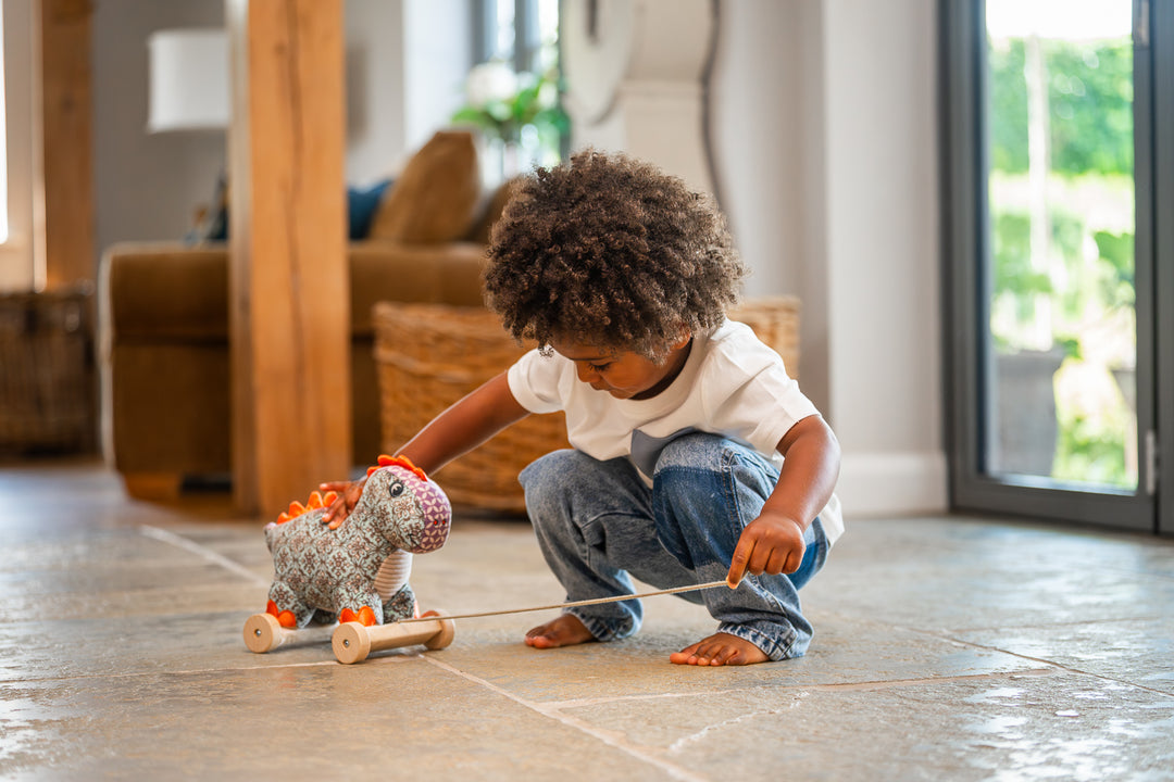 Little Bird Told Me Digley Dinosaur Pull Along Toy