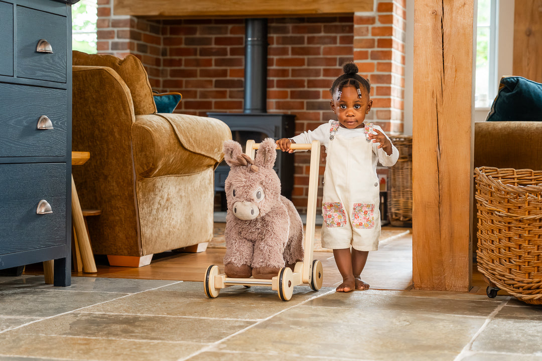 Little Bird Told Me Norbert Rocking Donkey Baby Walker 