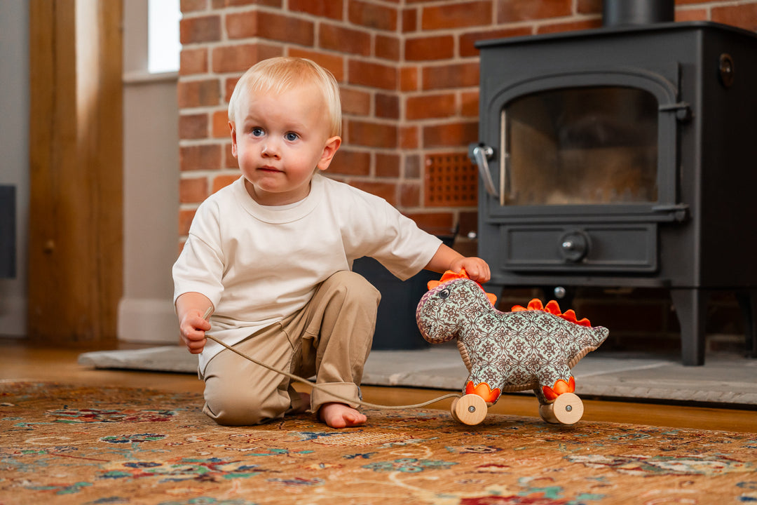 Little Bird Told Me Digley Dinosaur Pull Along Toy