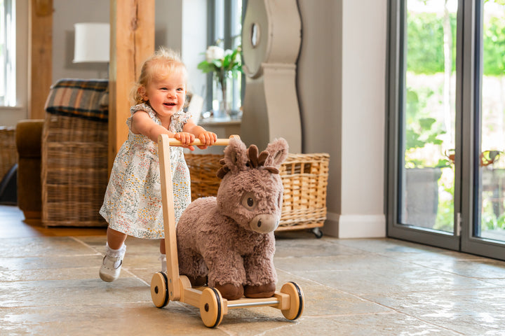 Little Bird Told Me Norbert Rocking Donkey Baby Walker 