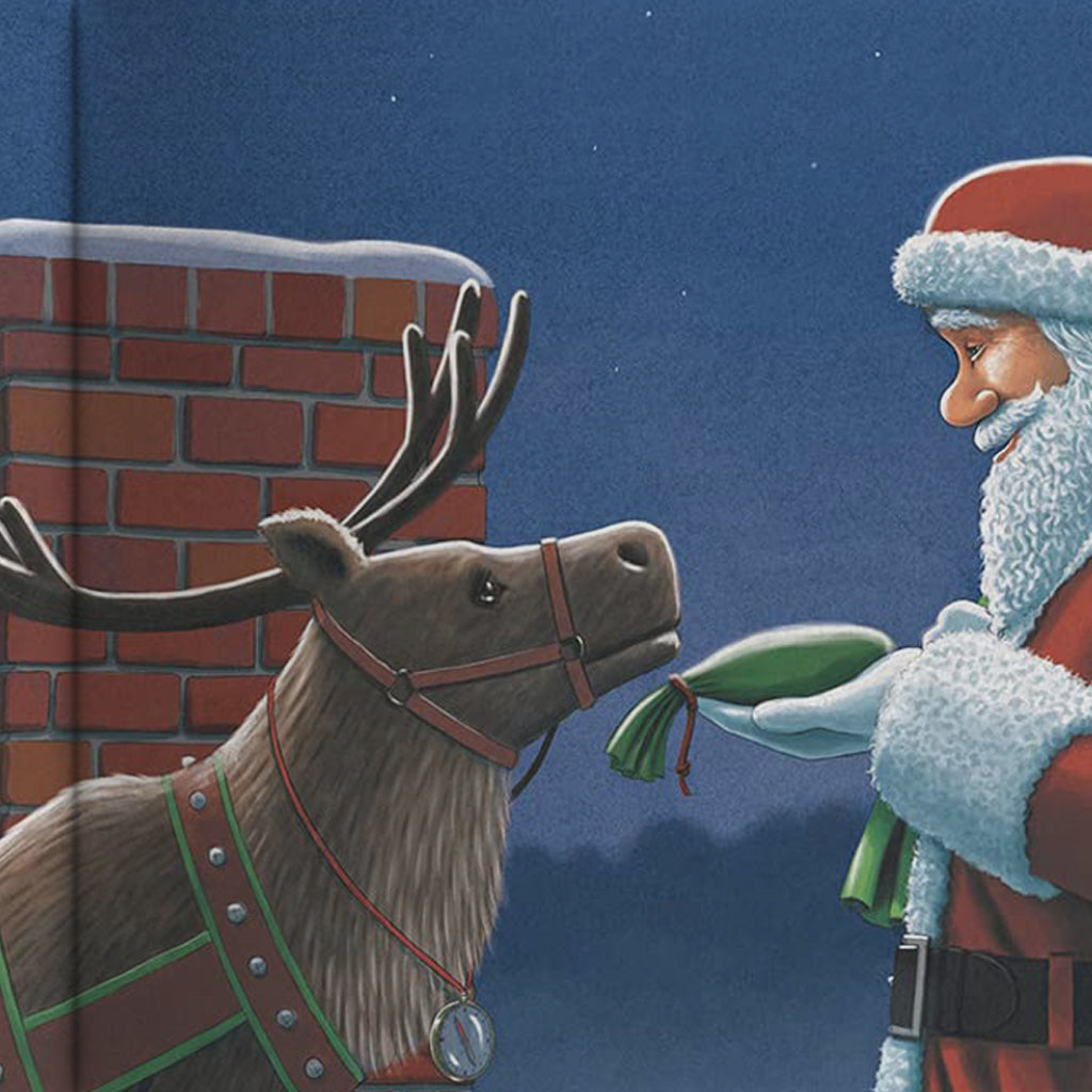 Dasher Can't Wait for Christmas Book