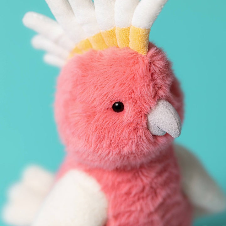 Close Up of Jellycat Squawkatoo Soft Toy