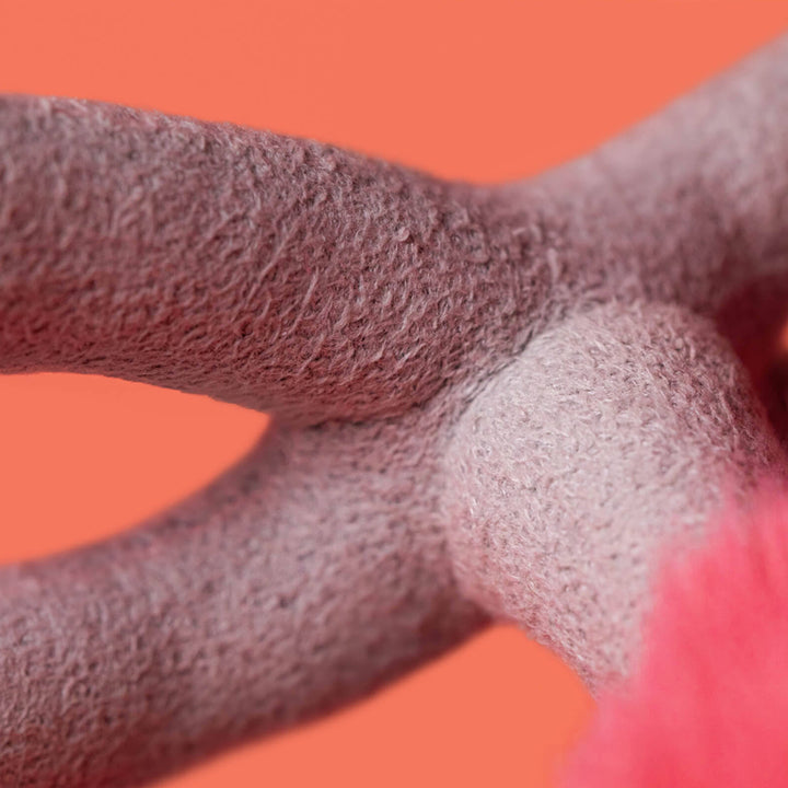 Jellycat Squawkatoo Close Up