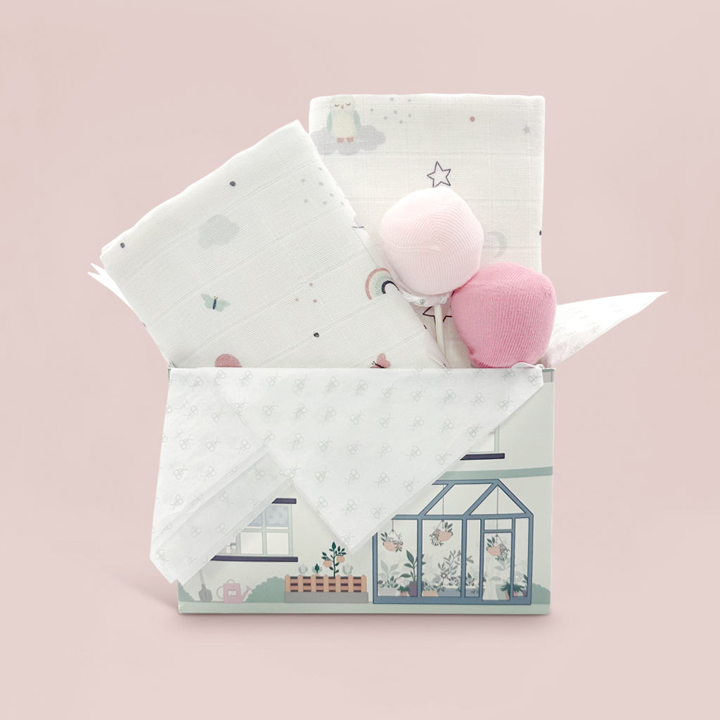 Muslin And Socks New Baby Girl Gift Set