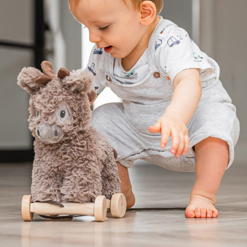 Norbert Donkey Pull Along Toy