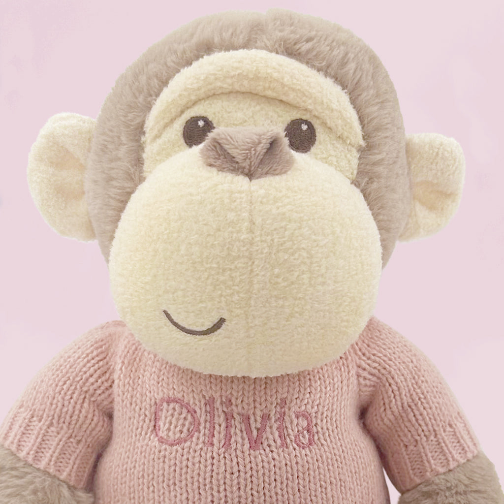 Argos Personalised Morris Monkey Soft Toy and Snuggle Wrap, Pink 8968089