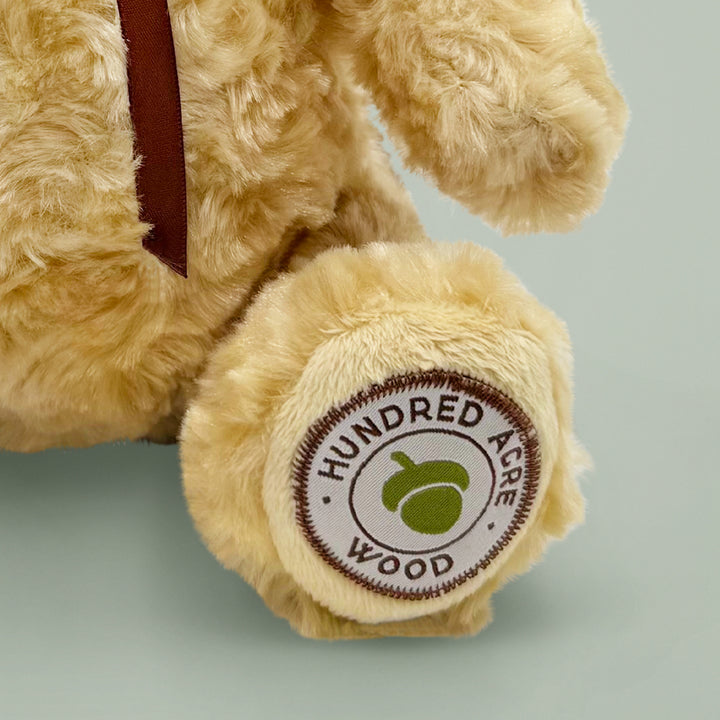 Winnie The Pooh Soft Toy Hundred Acre Wood Badge