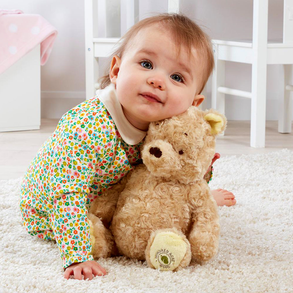 Winnie The Pooh Soft Toy