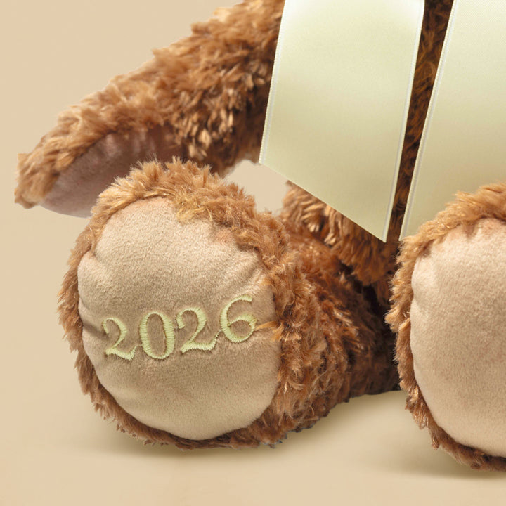 Personalised Steiff Cosy Year Bear 2026