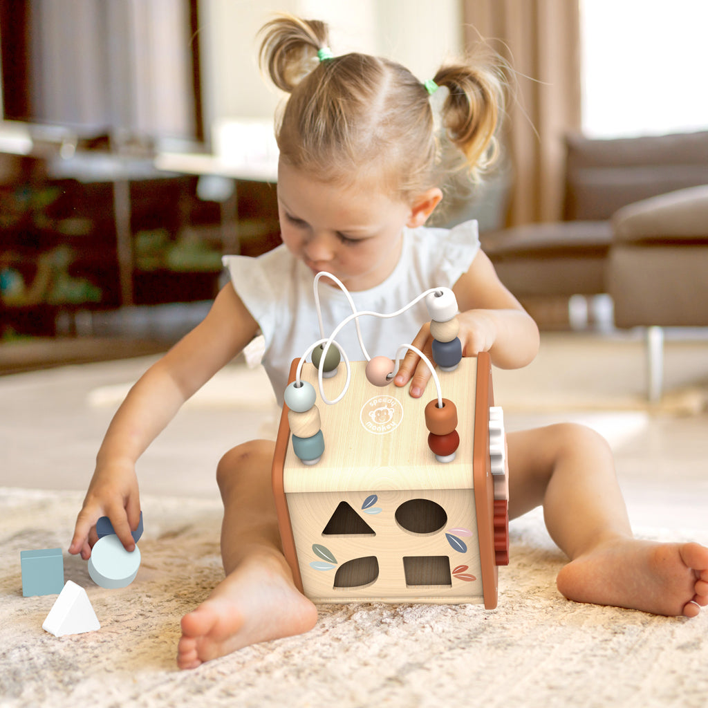Speedy Monkey 5-in-1 Activity Cube