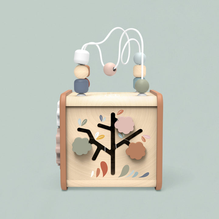 Speedy Monkey 5-in-1 Activity Cube