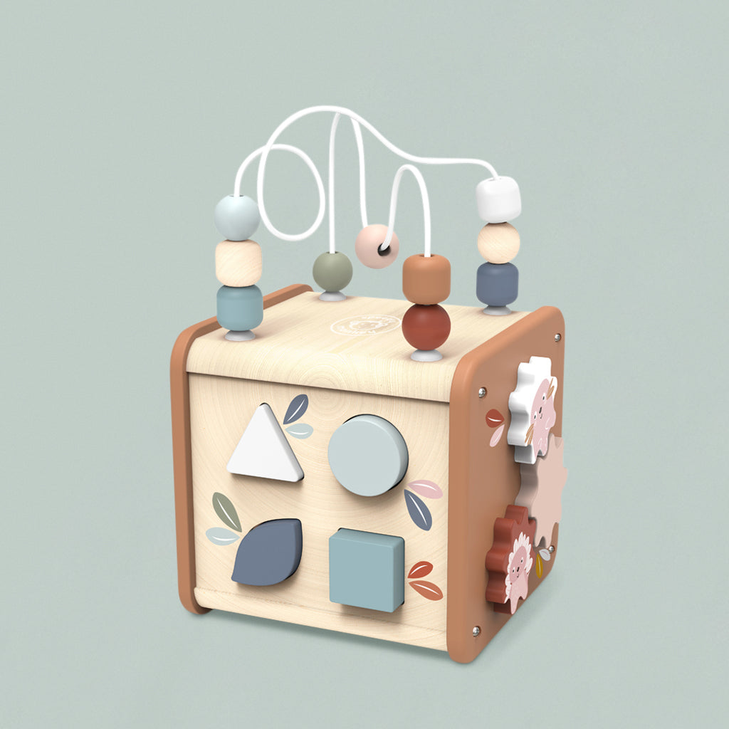 Speedy Monkey 5-in-1 Activity Cube