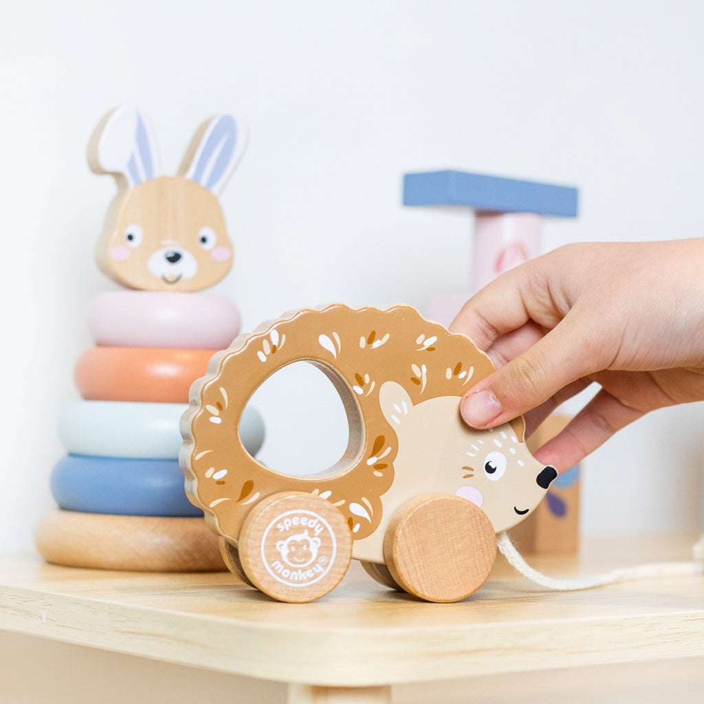 Wooden Pull Along Hedgehog Toy
