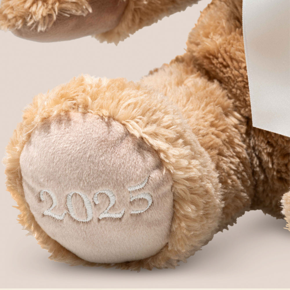Steiff Cosy Year Bear 2025