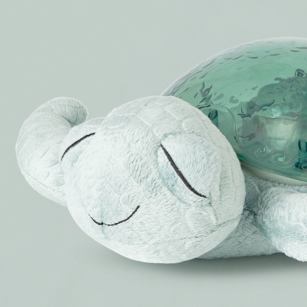 Tranquil Turtle Nightlight, Close Up