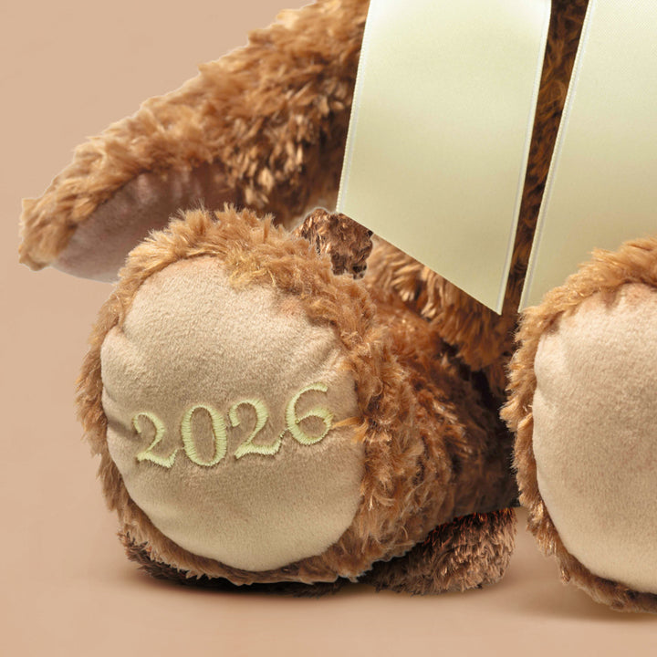 Personalised Steiff Cosy Year Bear