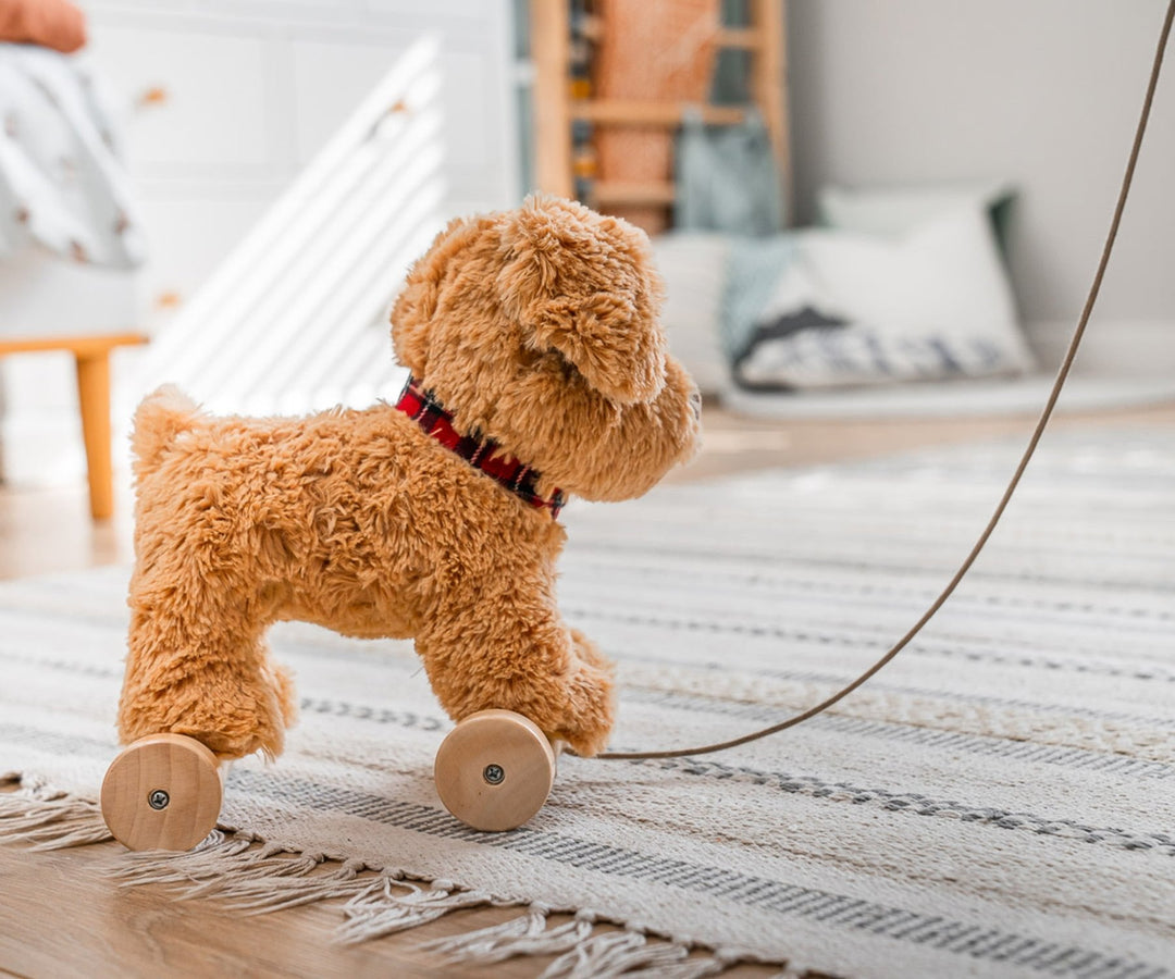 Dexter Dog Pull Along Toy