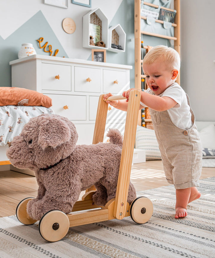 Bailey Dog Baby Walker