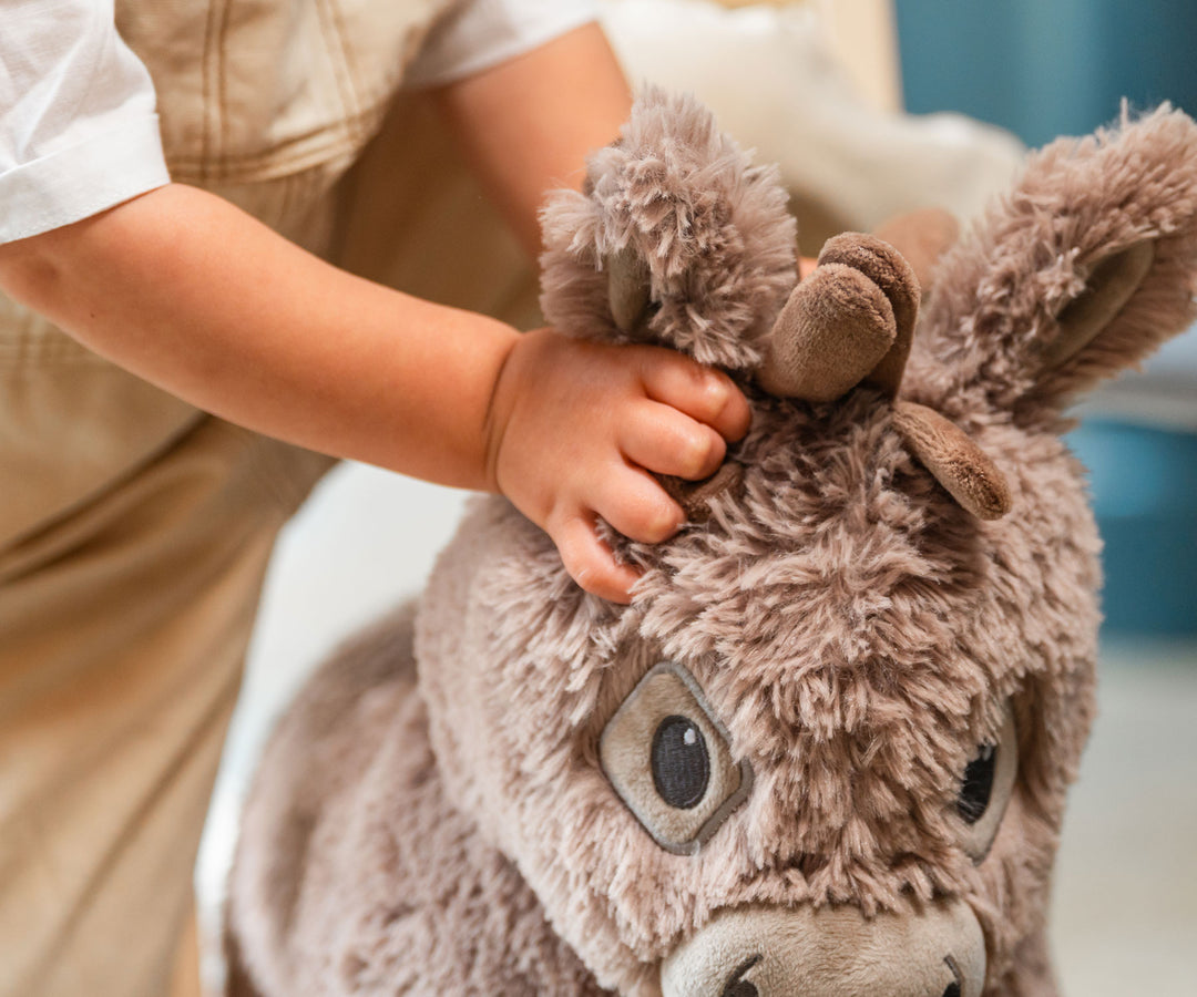 Little Bird Told Me Norbert Rocking Donkey Baby Walker 