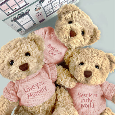 Mothers Day Gift Teddy Bear Send A Bear Hug
