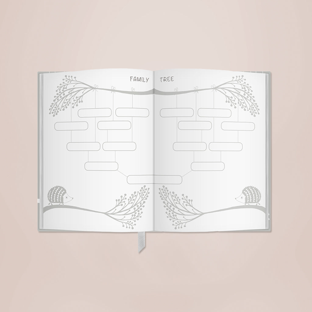 Early Years Journal and Notes and Quotes Notebook Gift Set