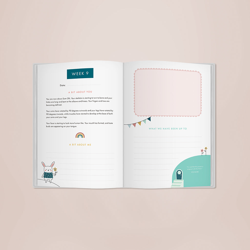 Bump To Birthday Gift Set