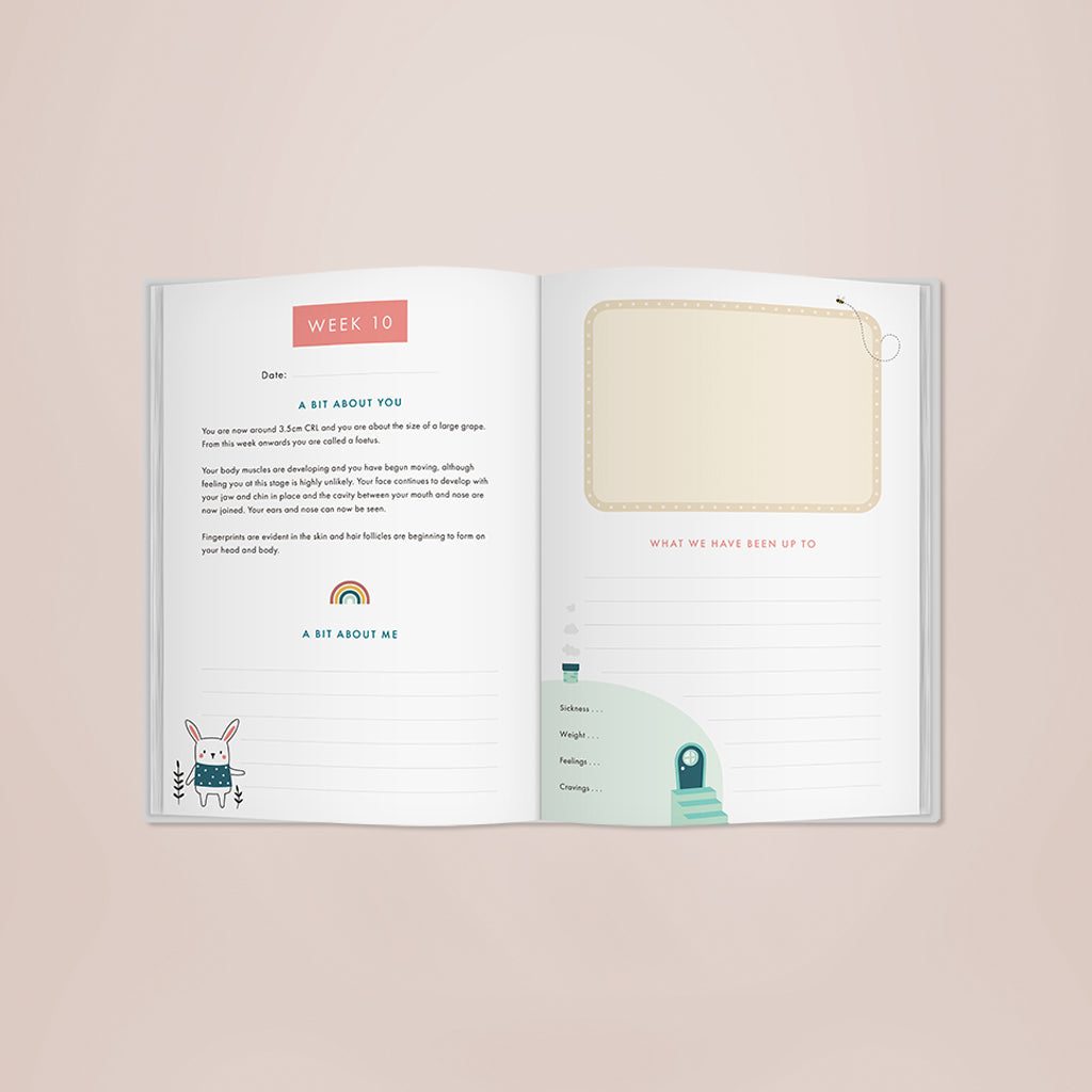 Bump To Birthday Gift Set