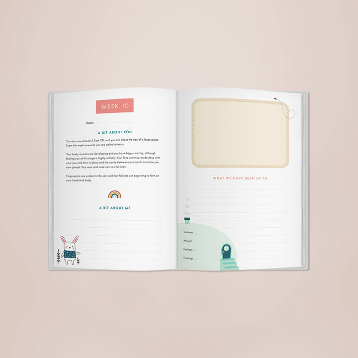 Bump To Birthday Gift Set