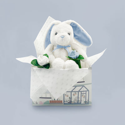 New Baby Boy Gift With Bunny Soft Toy And Socks