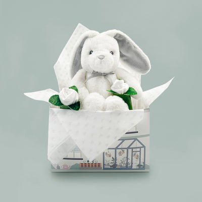 New Baby Gift With Bunny Soft Toy And Socks