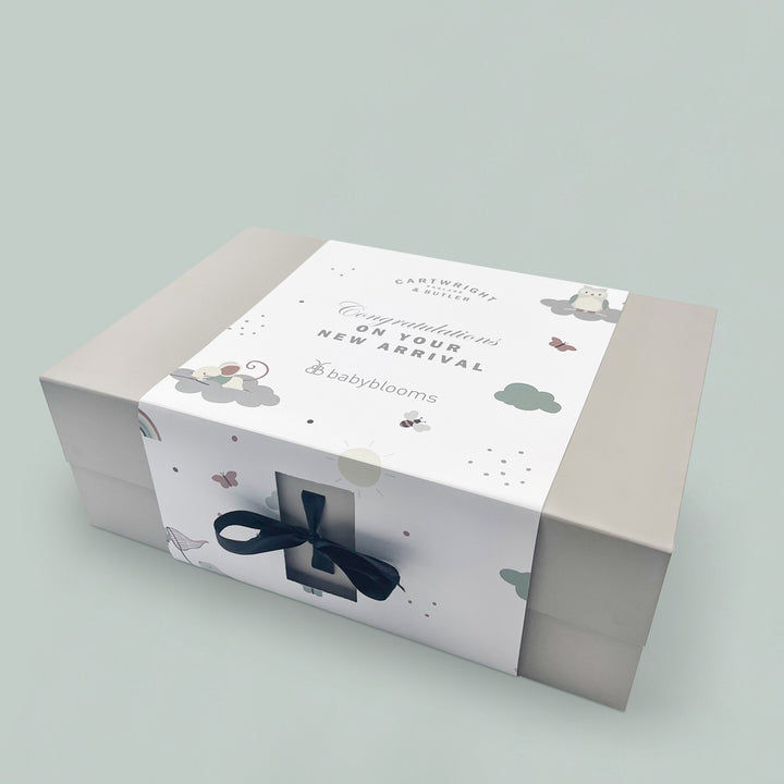 Congratulations on Your New Arrival Gift Hamper