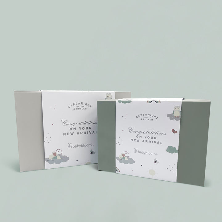 Congratulations on Your New Arrival Gift Hamper