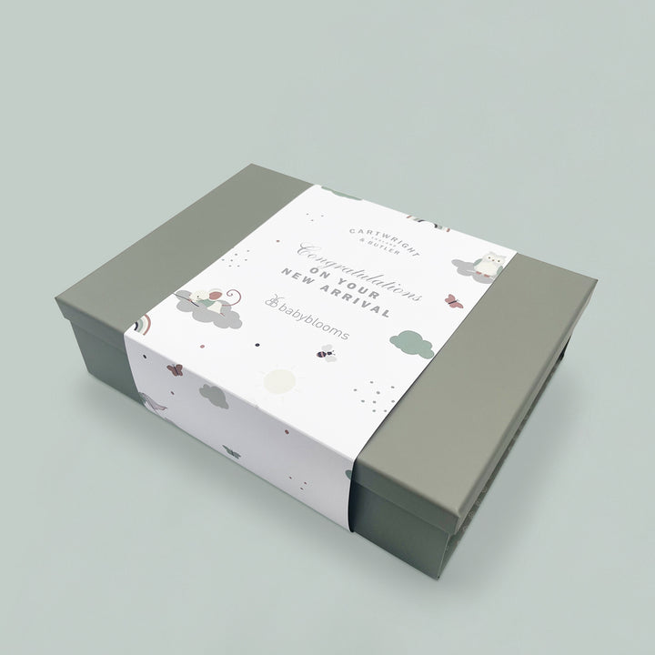 Congratulations on Your New Arrival Gift Box