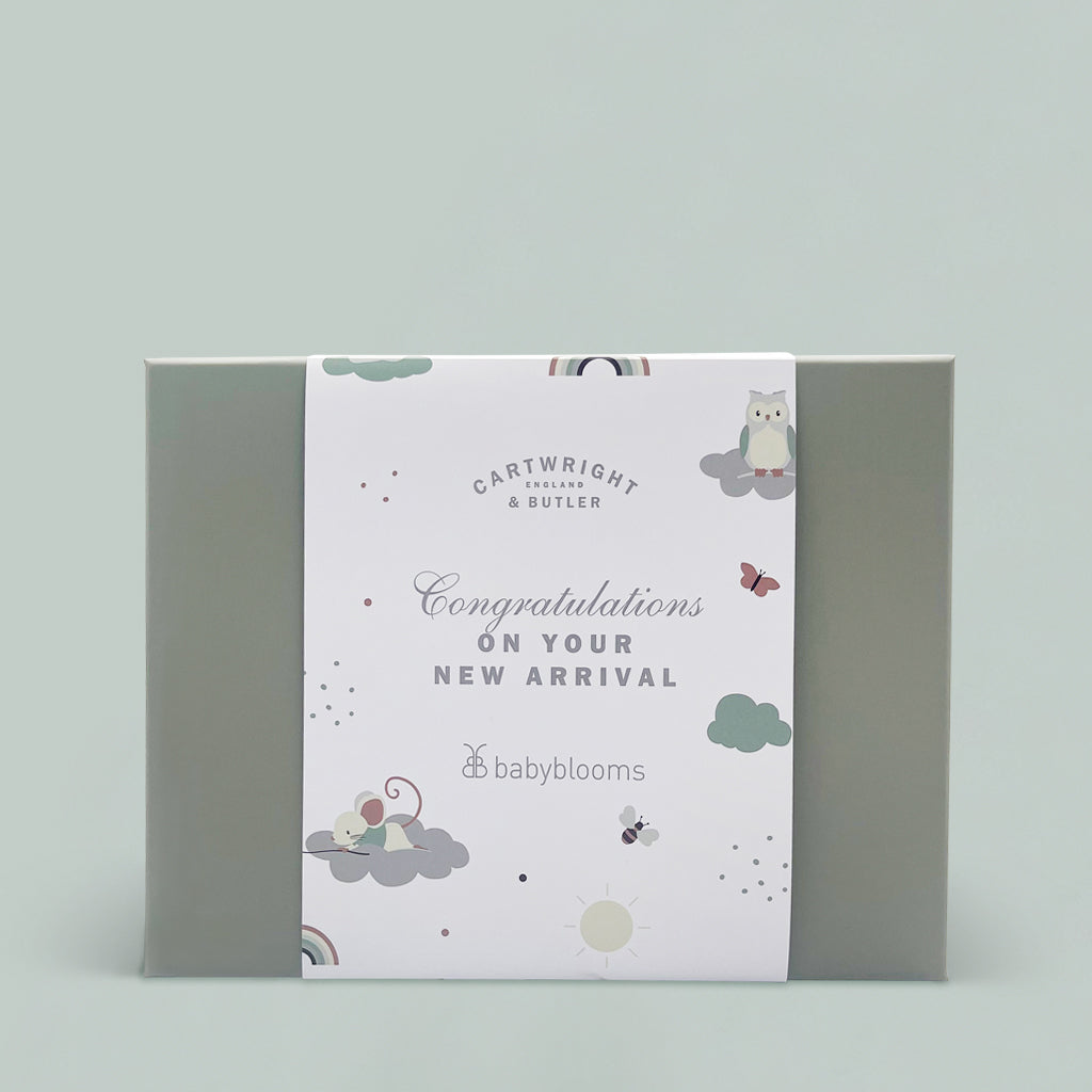 Congratulations on Your New Arrival Gift Box