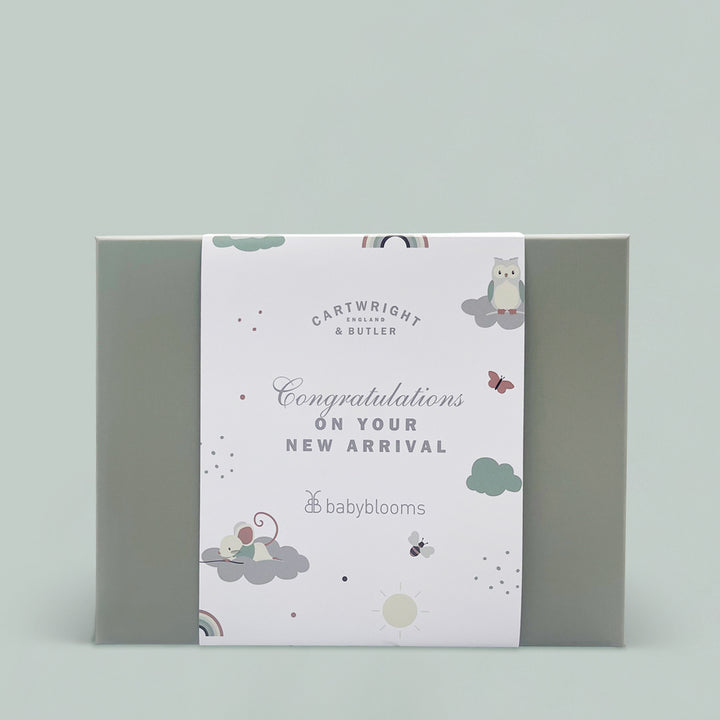 Congratulations on Your New Arrival Gift Box