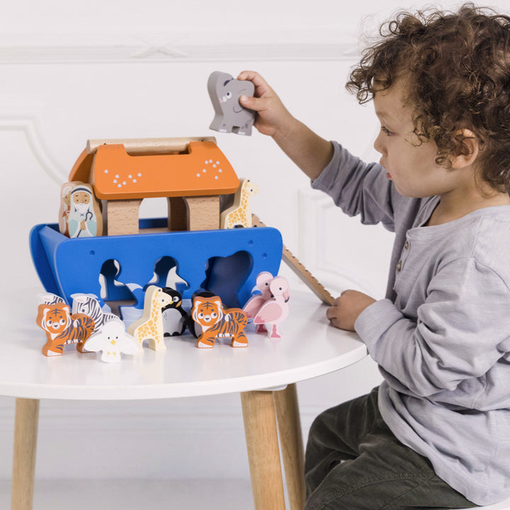 Noah's Ark Wooden Shape Sorter