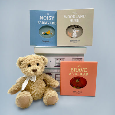 New Baby Gift Of Teddy Bear And Rag Books