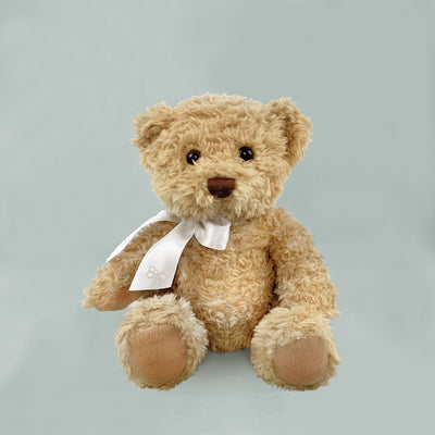 Bertie Bear traditional seated teddy bear