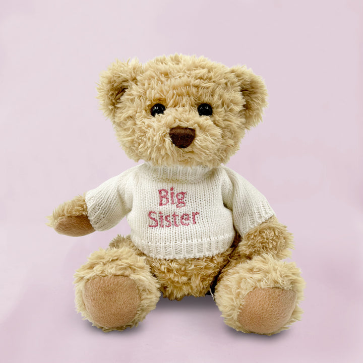 Big Sister Balloon & Bertie Gift Set