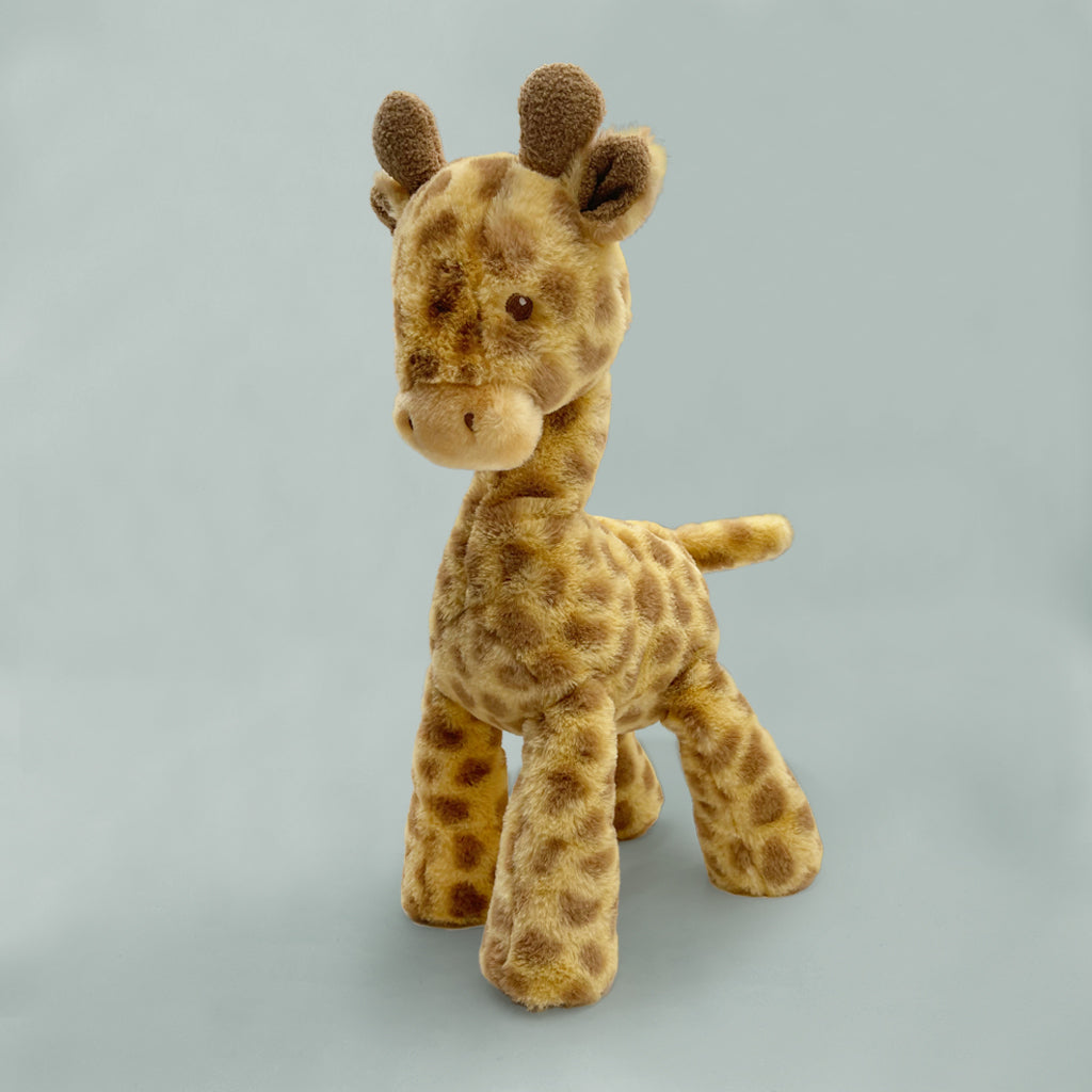 Hopes & Wishes For You Giraffe Gift Set