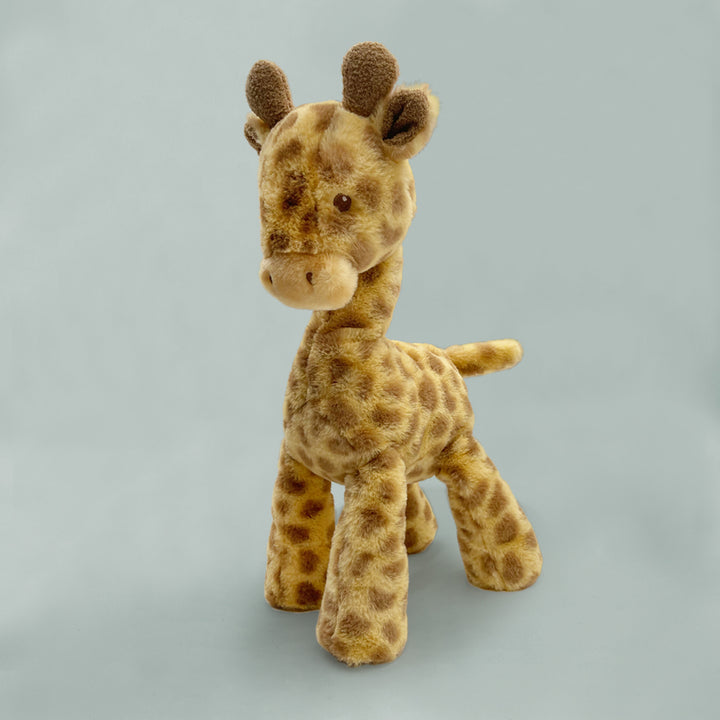 Hopes & Wishes For You Giraffe Gift Set