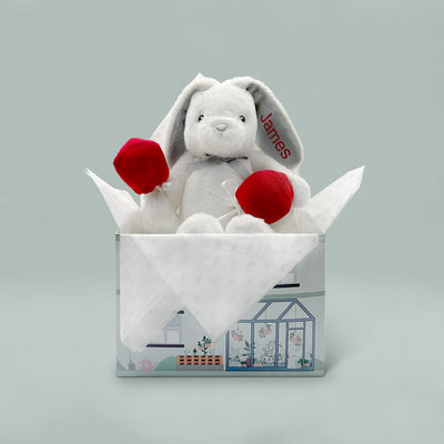 Personalised First Valentine Gift With Eco Bunny Soft Toy And Baby Sock