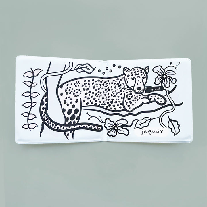 Who's In The Rainforest? Bath Book