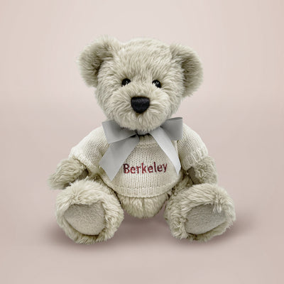 Personalised Berkeley Bear & Stocking Gift Set